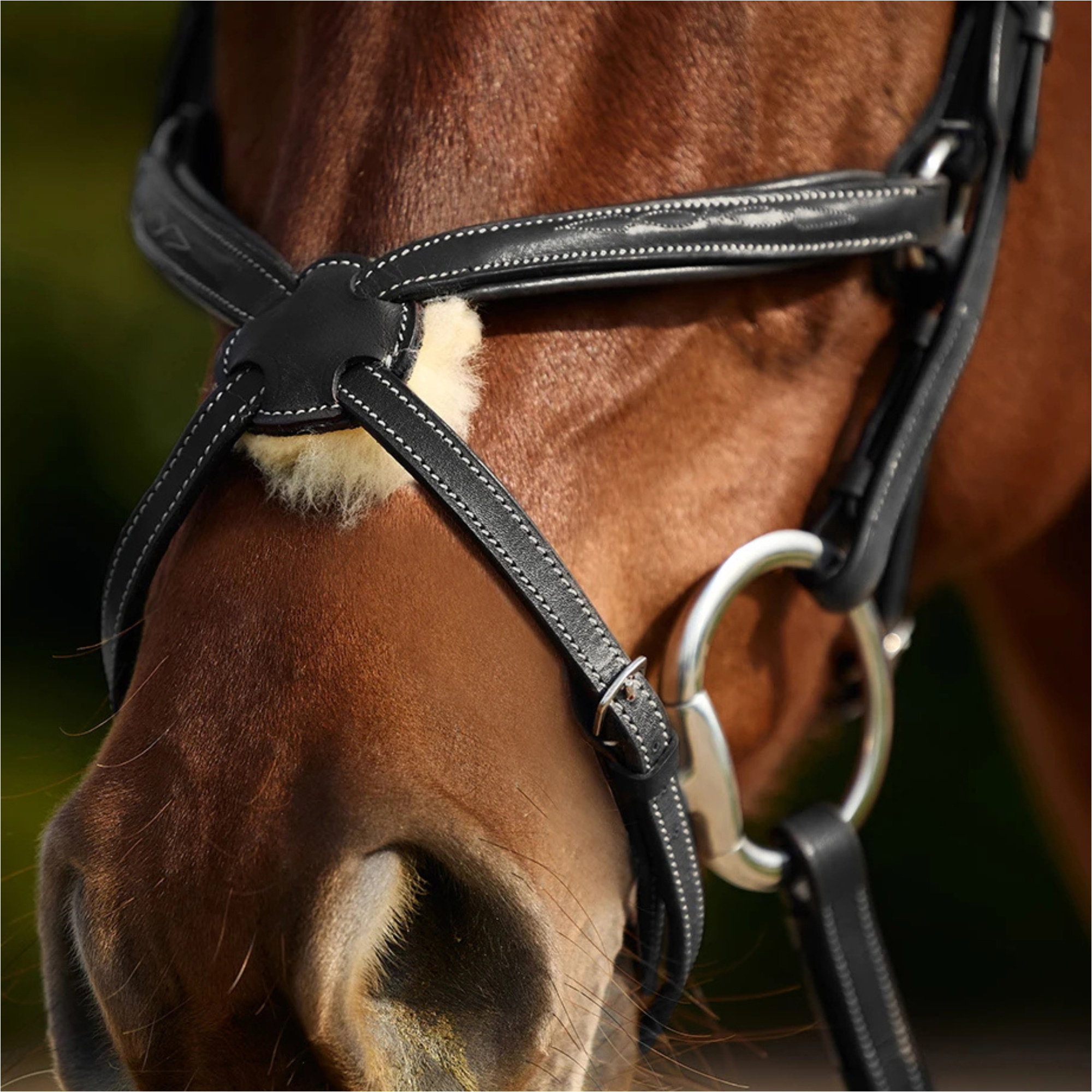 2026 Dublin Gevoerde Mono Kroon Fancy Stitch Grackle Tuig 1031502 - Black